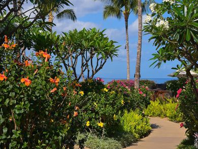 Wailea 4 Bedroom Vacation Home - Amazing Views and Interior